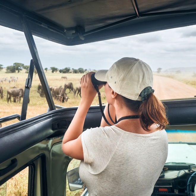 Wildlife Safaris